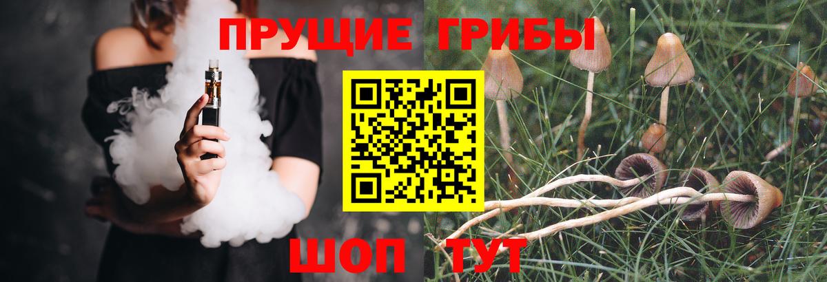 Галлюциногенные грибы мухоморы  Вход с VPN  Анжеро-Судженск 