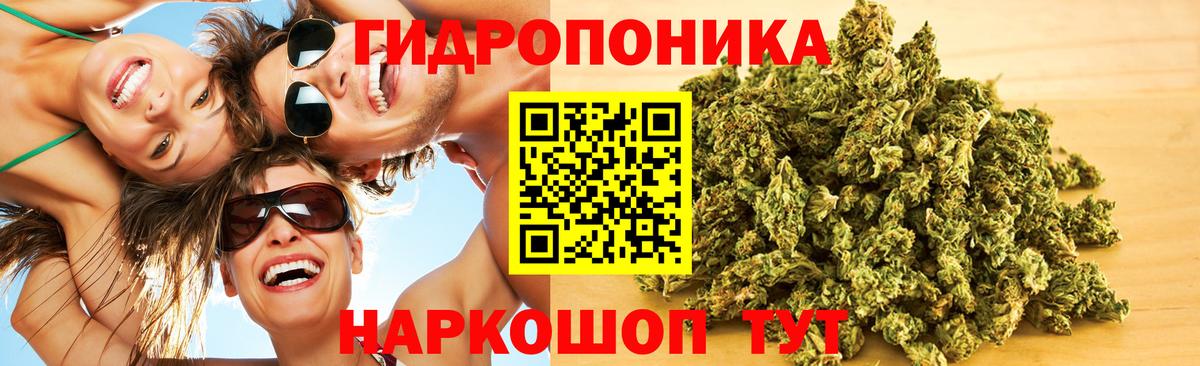 Марихуана White Widow  Бошки марихуана VHQ  Вход с VPN  Шишки марихуана марихуана  Анжеро-Судженск  Канабис план 
